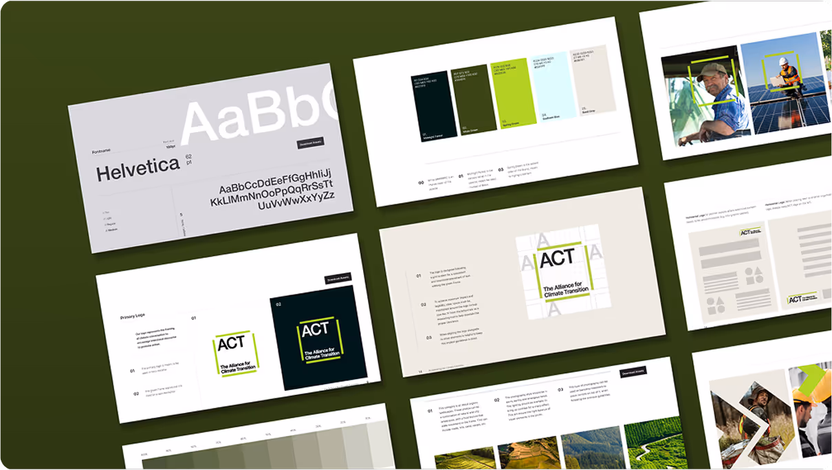  Overview of the extensive ACT brand guidelines