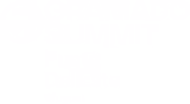 Logo Punta