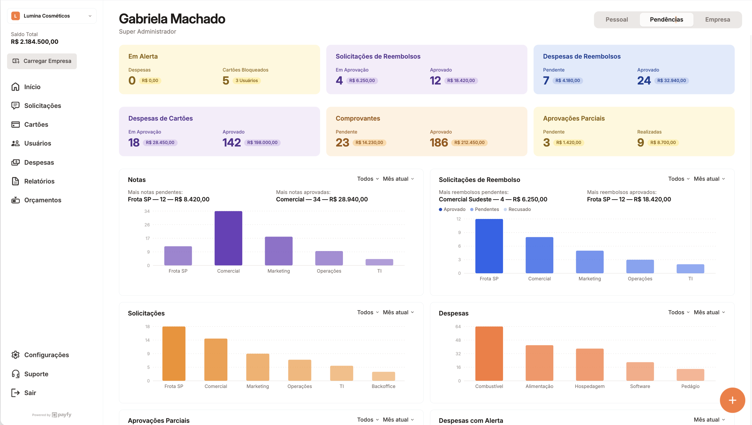 Dashboard da payfy no tour guiado