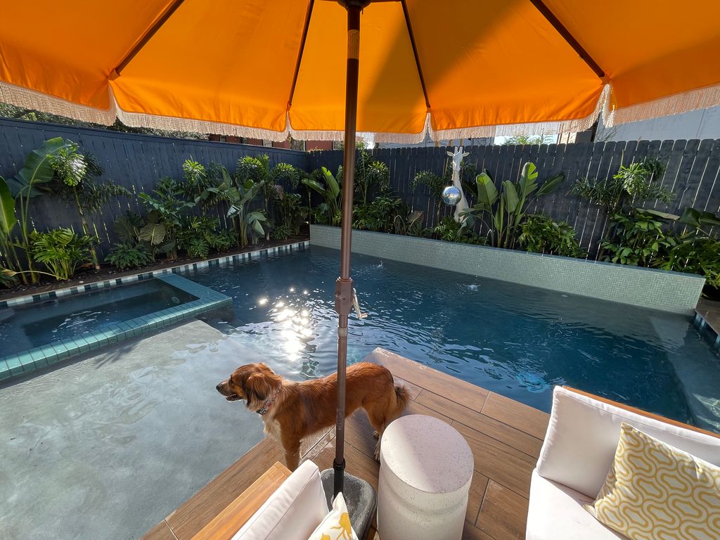 Brown dog standing on poolside deck under an orange umbrella next to white cushioned chairs and green plants surrounding a backyard pool.