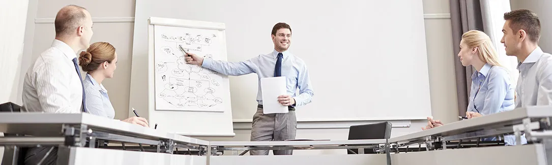 Government Programs: The True Meaning of Customization