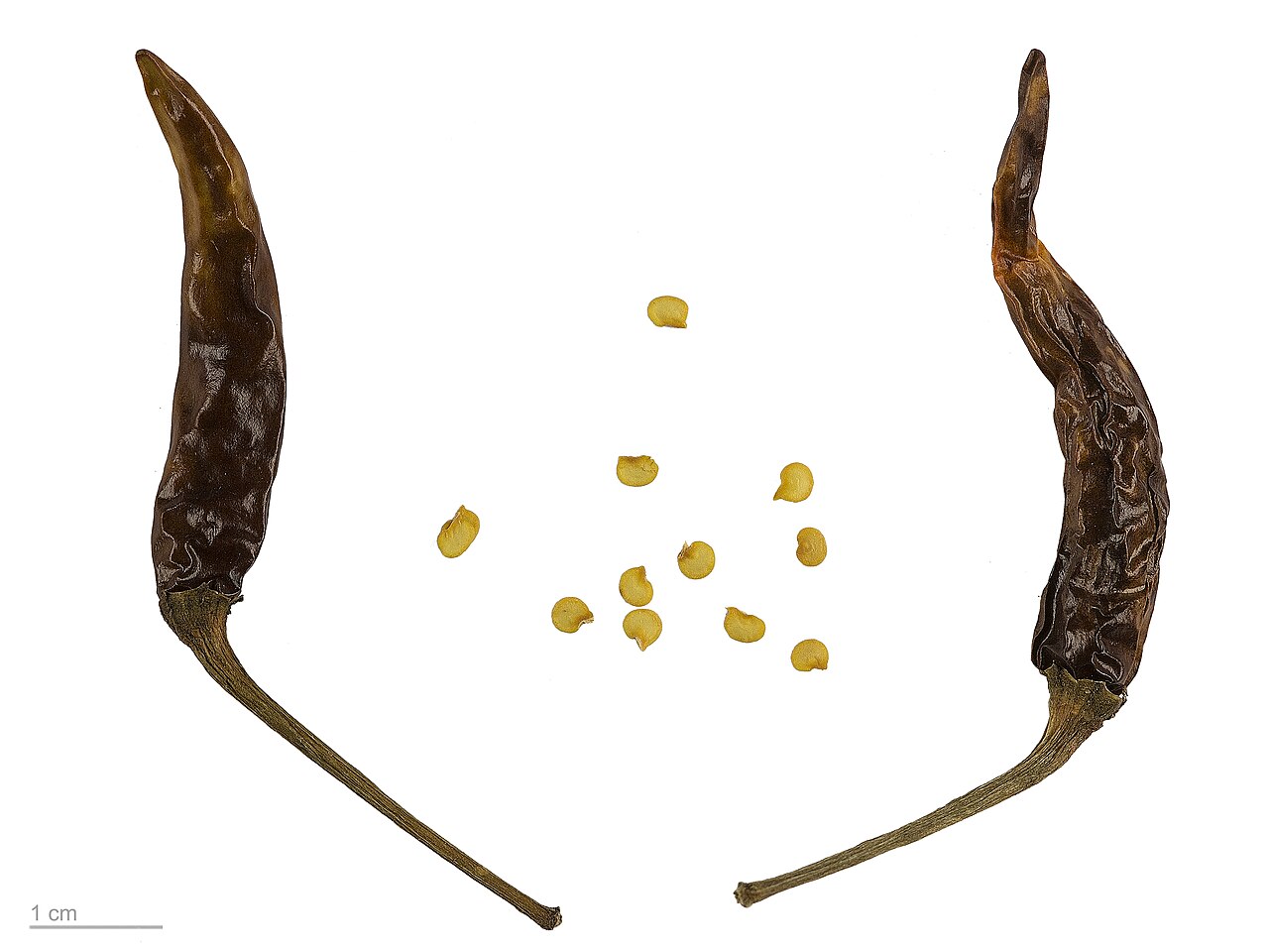 Piment