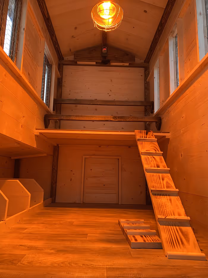 Gallerie für die Innenansicht der Hühnerställe.