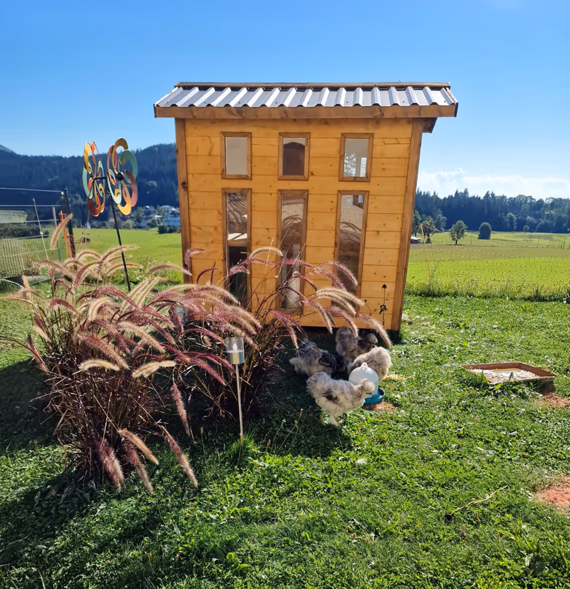 Ein Hühnerstall im Garten der Hennhaus Besitzer.