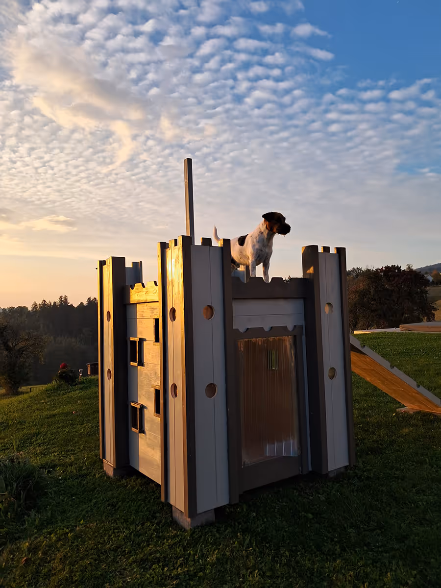 Eine Hundeburg im Garten der Hennhaus Besitzer.