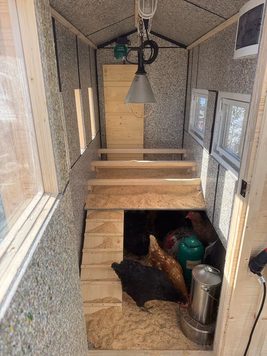 Ein Hühnerstall im Garten der Hennhaus Besitzer.