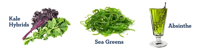 Kale Hybrids, Sea Greens, Absinthe