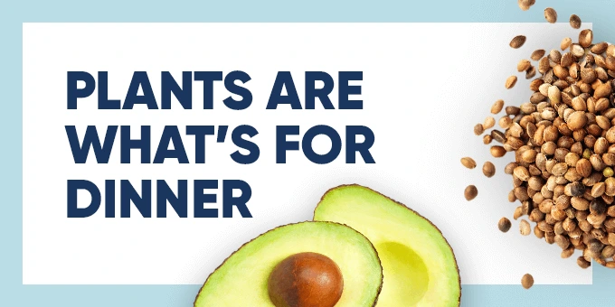 Plants are what's for dinner