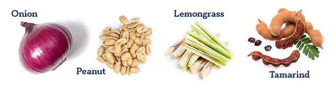 Onion, Peanut, Lemongrass, Tamarind