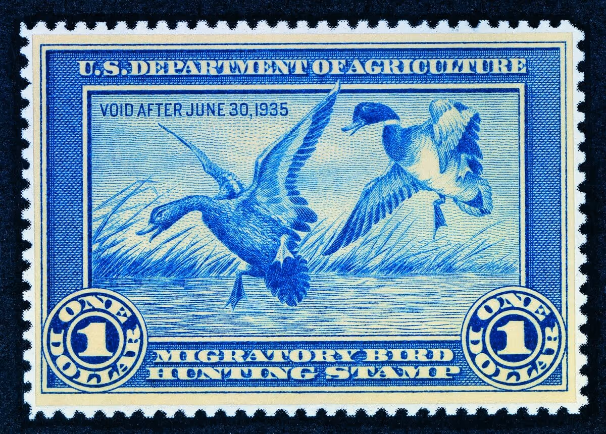 The first Federal Duck Stamp designed by Ding Darling. Credit: U.S. Fish andWildlife Service