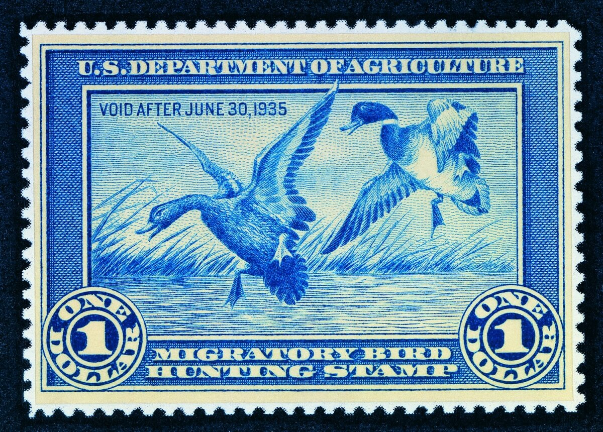 The first Federal Duck Stamp designed by Ding Darling. Credit: U.S. Fish andWildlife Service