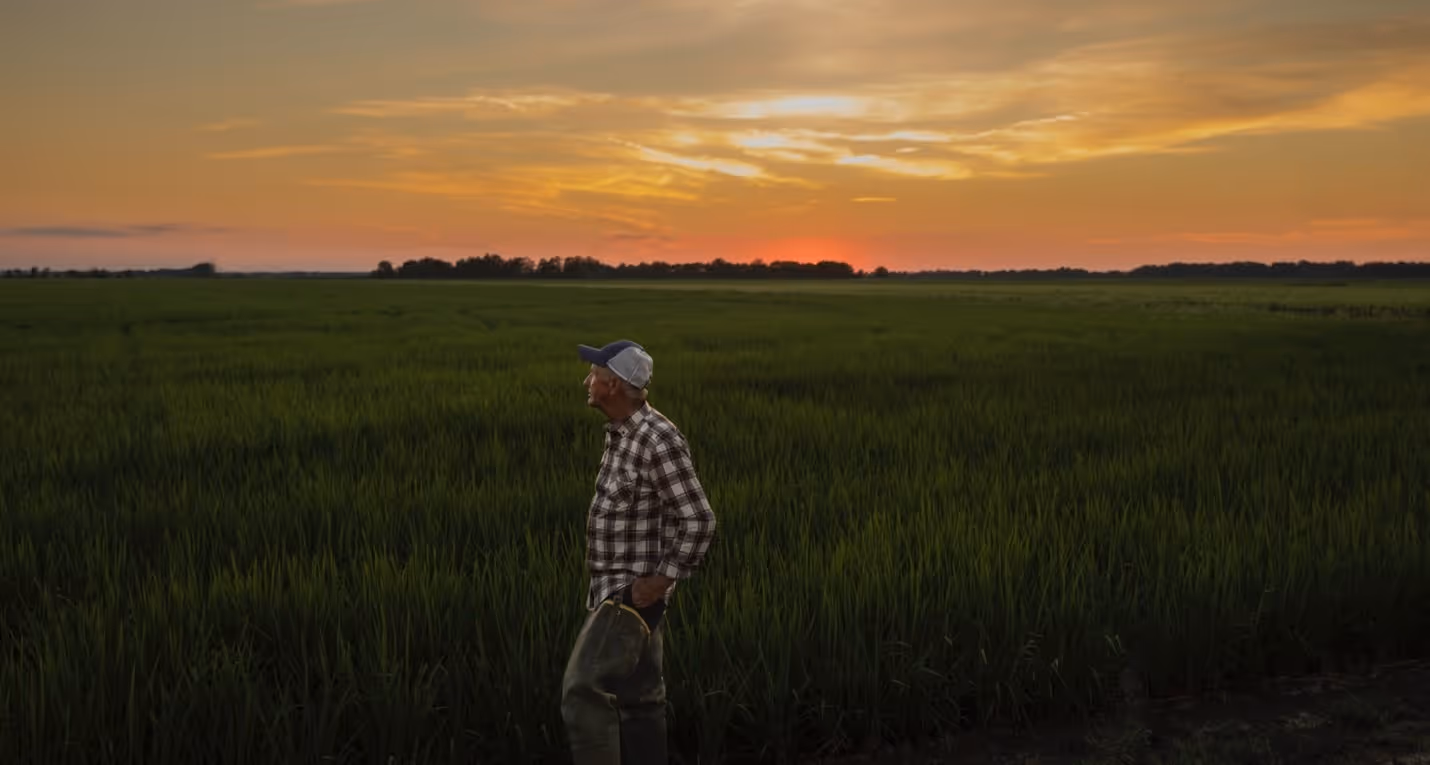 A person standing in a fieldAI-generated content may be incorrect., Picture