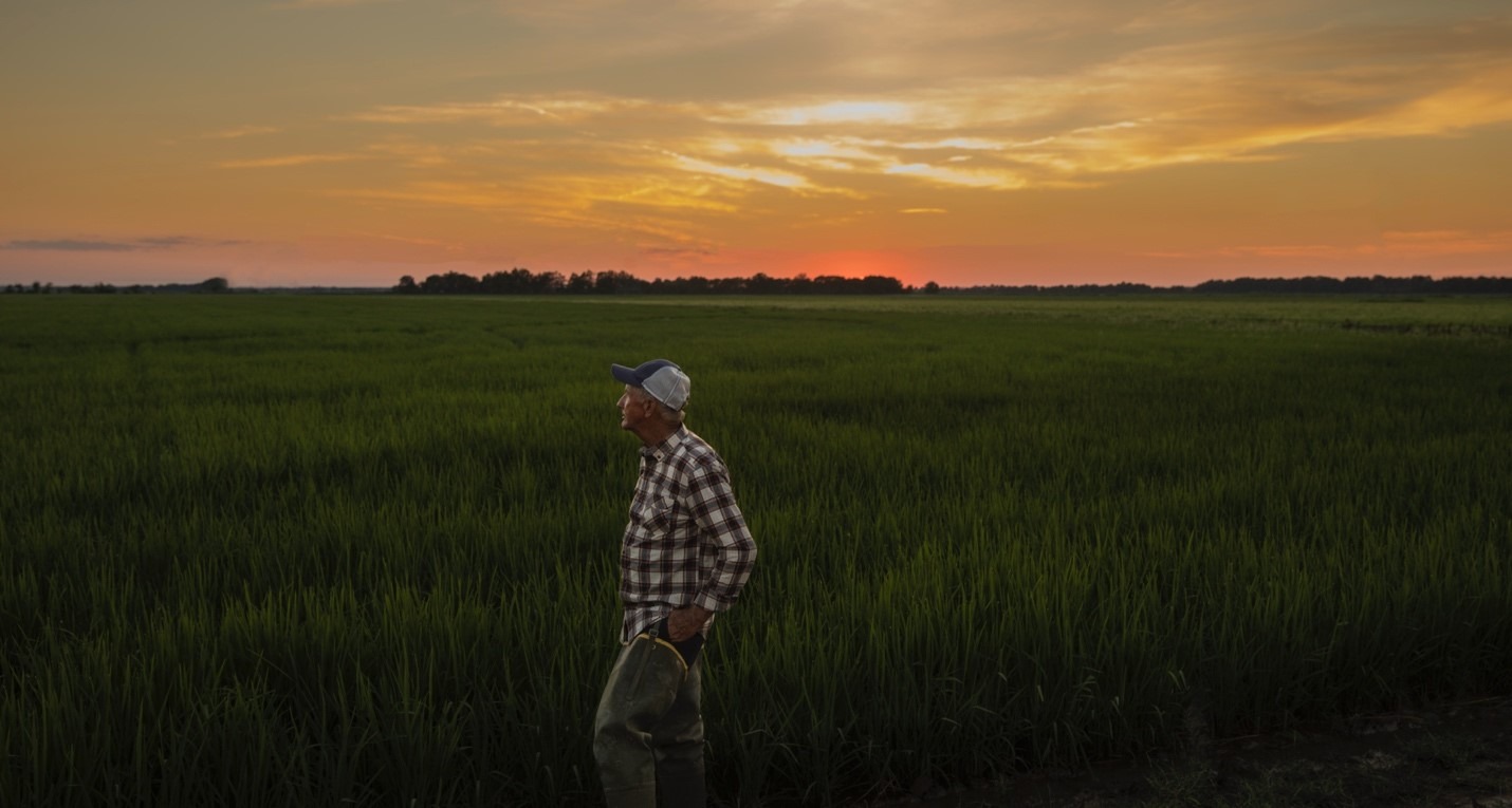 A person standing in a fieldAI-generated content may be incorrect., Picture