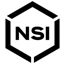n s i logo