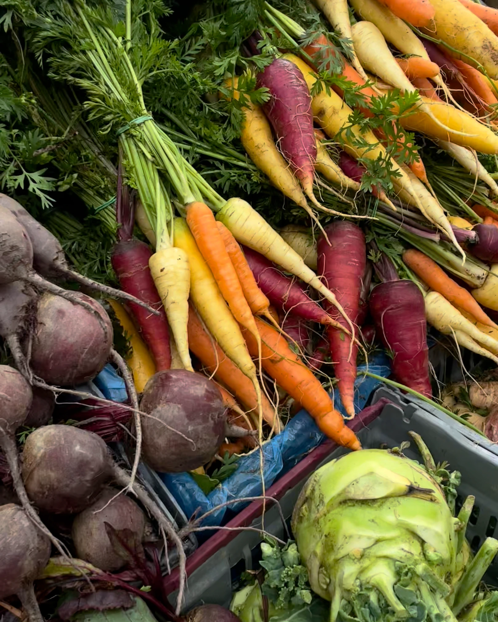 Carrots at framers market