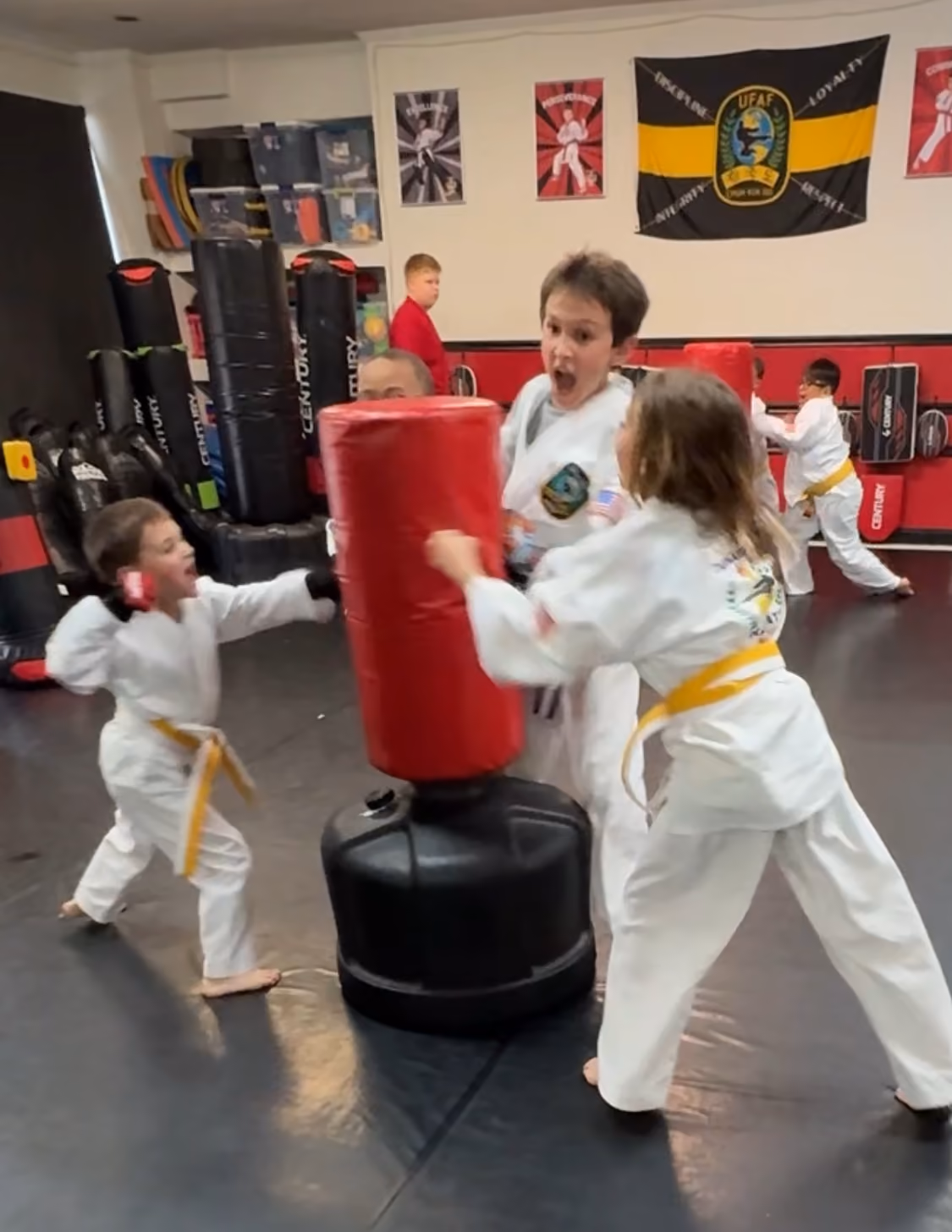 Chuck Norris System Martial Arts