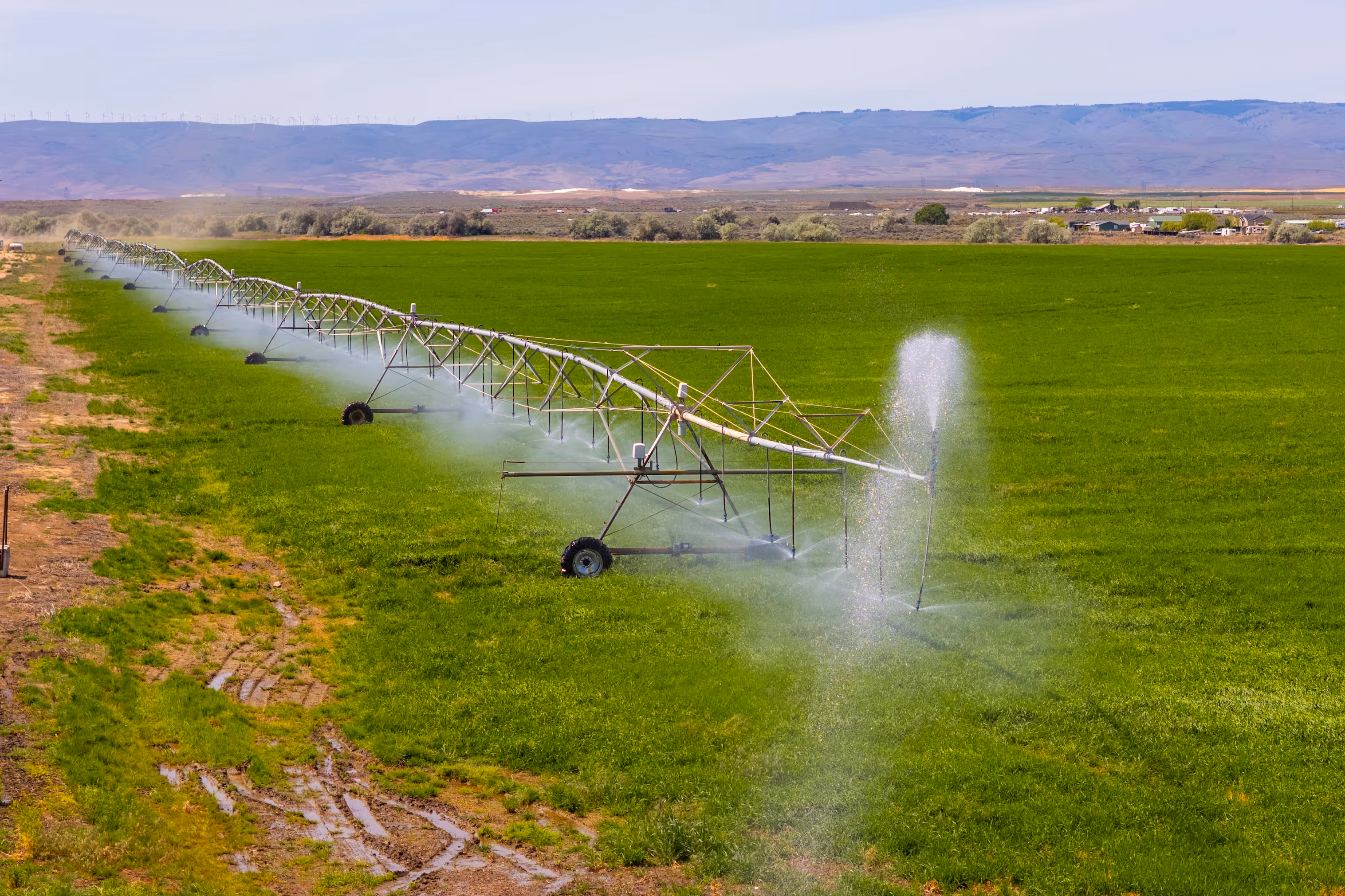 Sprayers