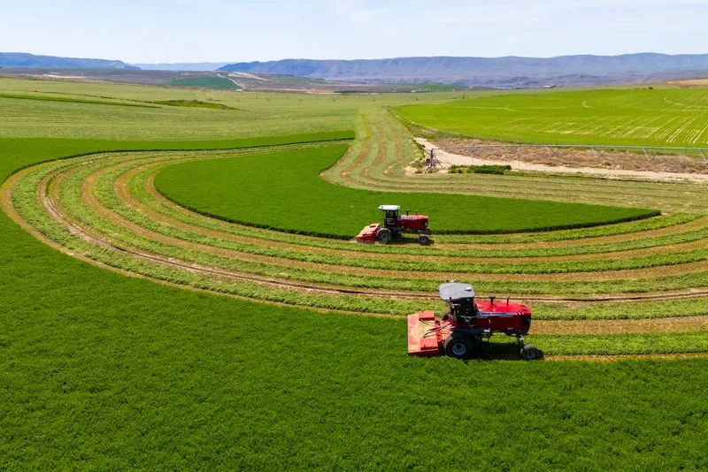 Tractors in farm