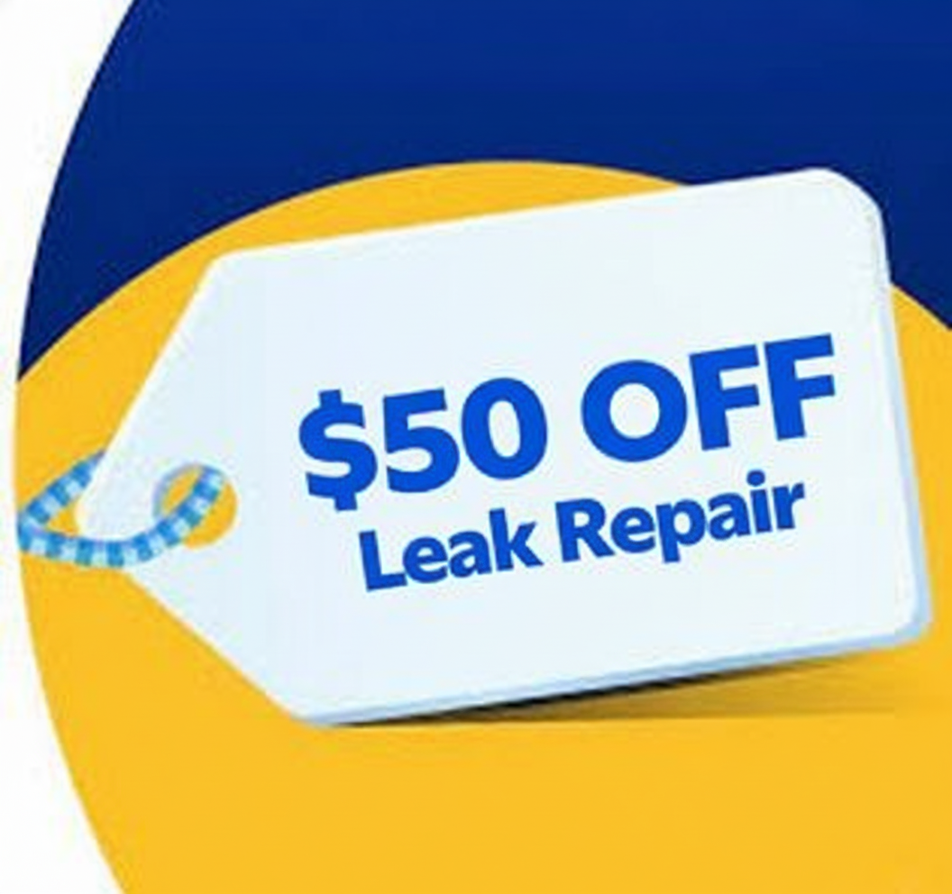 Leak detection coupon