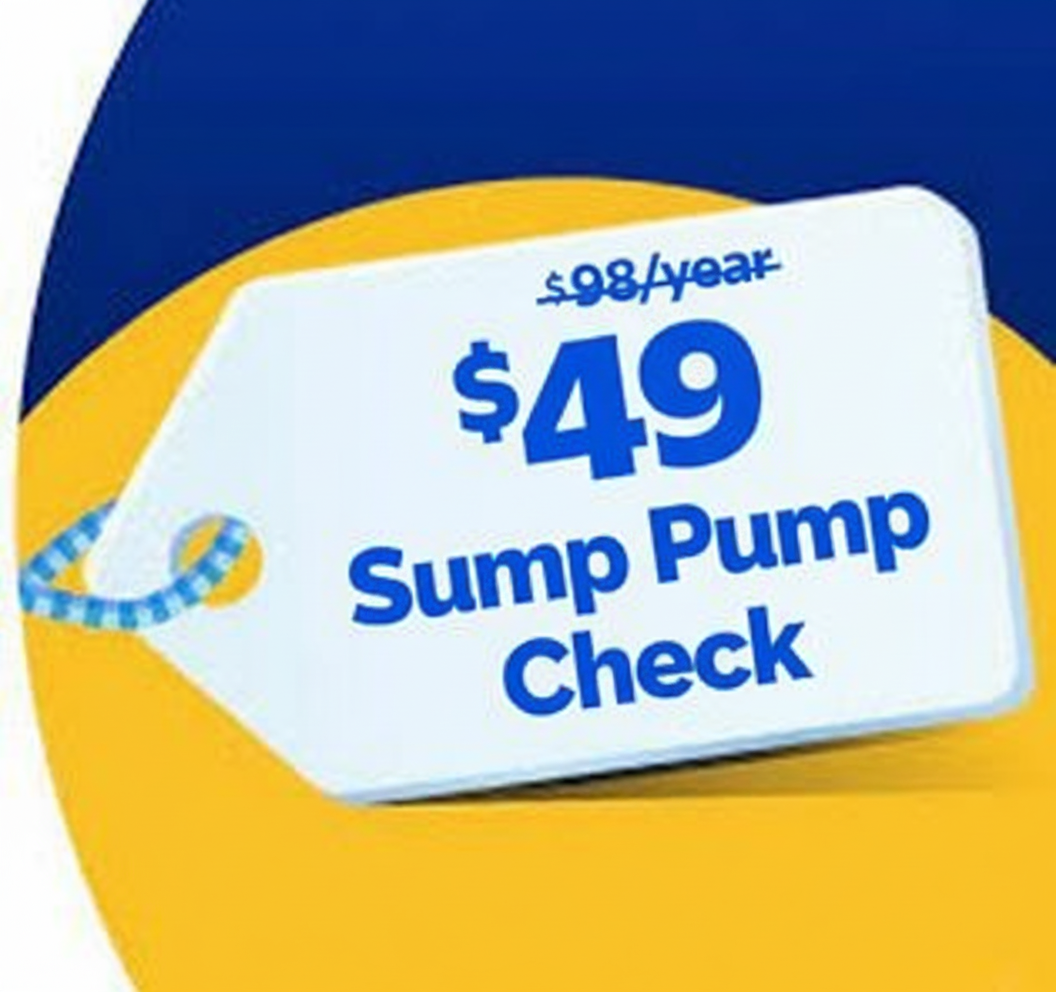 Related service coupon 3