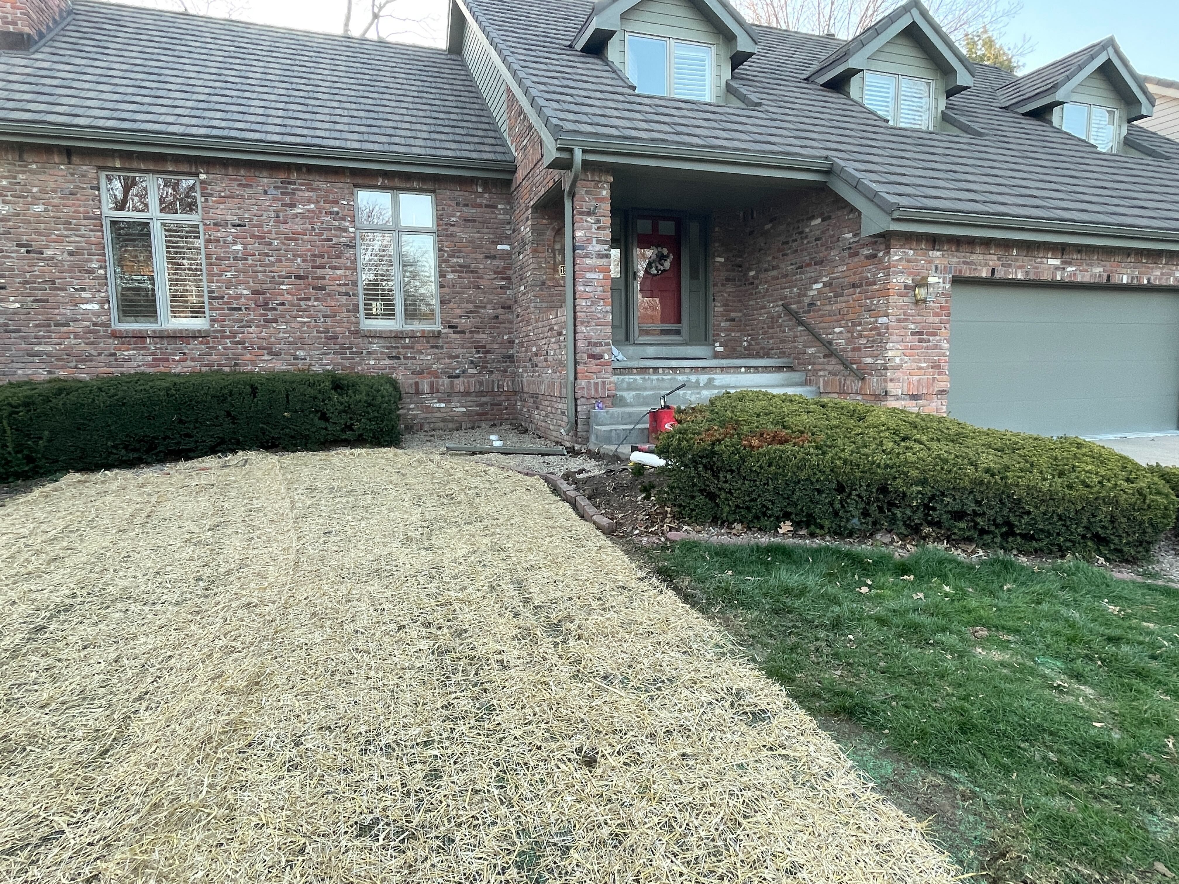 Front yard of a brick house covered in straw matting over new grass seed after a sewer line repair