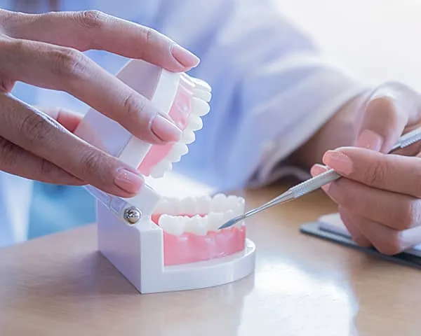 Hands holding dental model with white teeth, one hand uses dental tool to point inside model.