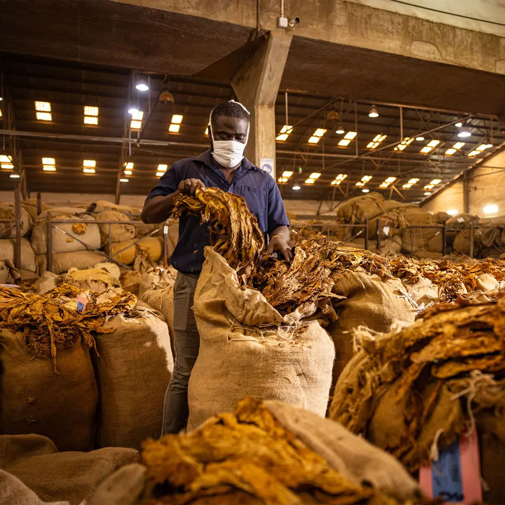 Agricultural Processing