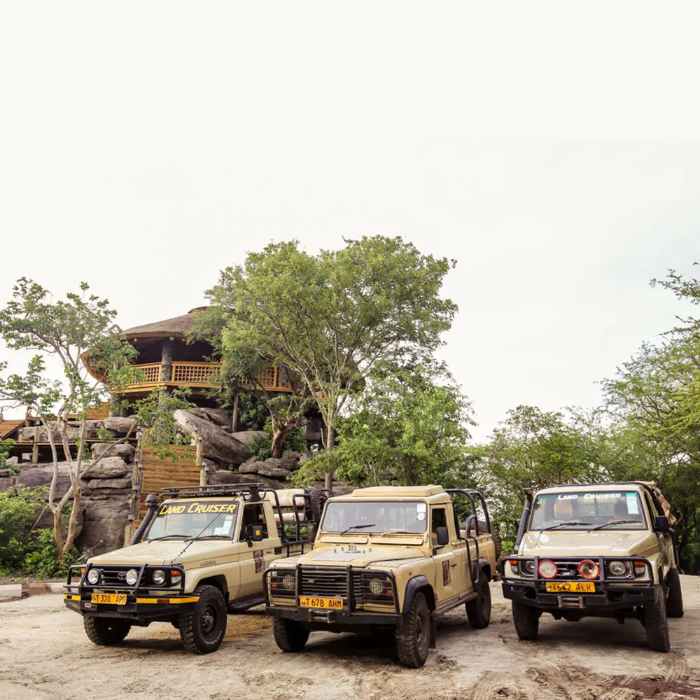 Tourism & Conservation