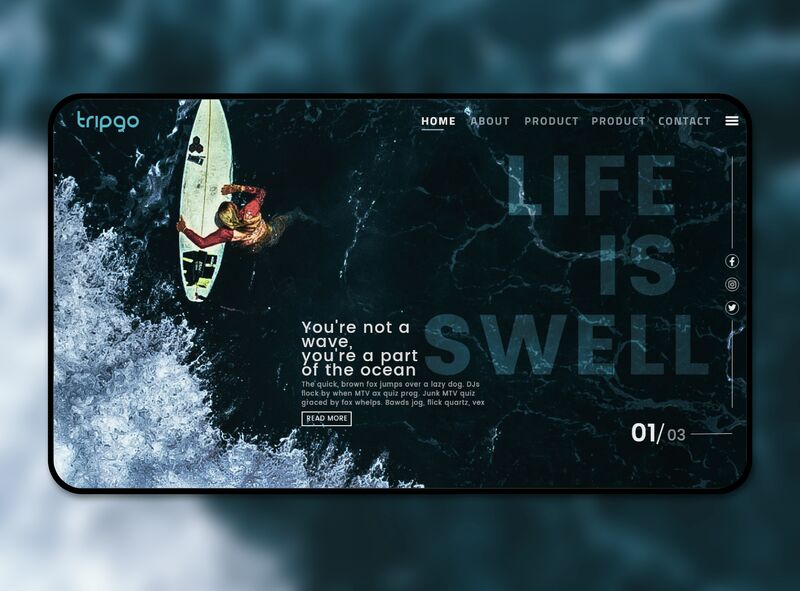 Mockup of hero section for TripGo website