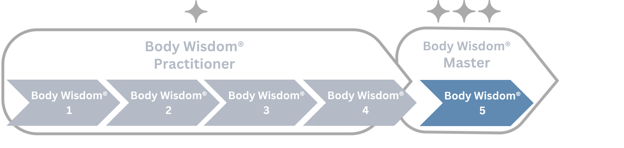 Diagramm zeigt den Weg von Body Wisdom® Anwender (Level 1 bis 4) zum Body Wisdom® Meister (Level 5).