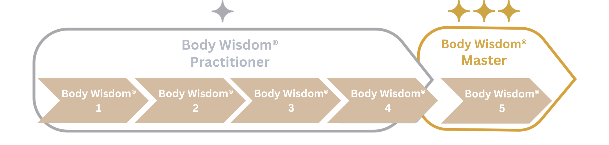 Diagramm mit den Stufen Body Wisdom Practitioner von 1 bis 4 und Body Wisdom Master bei Stufe 5.