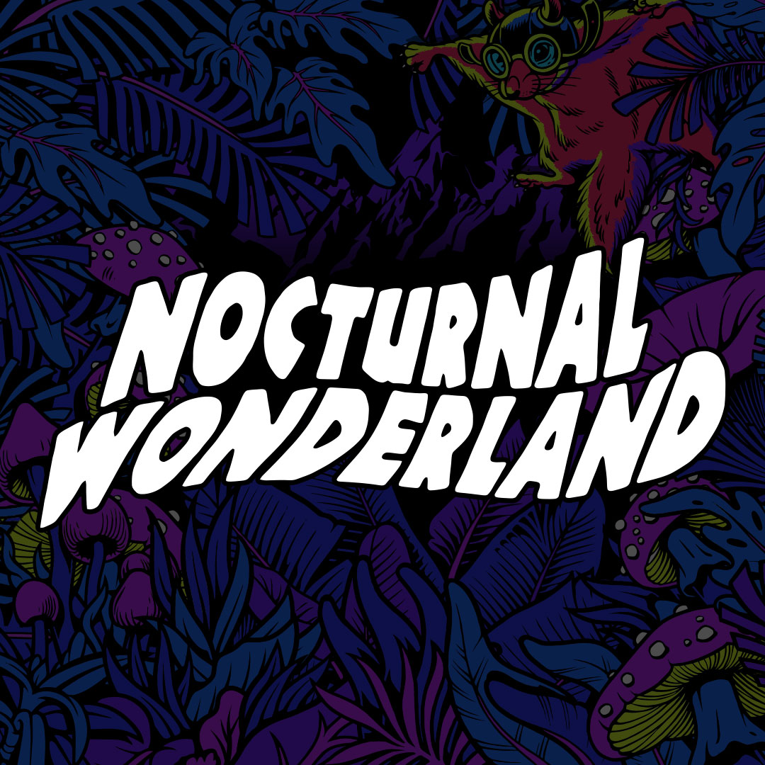 Nocturnal Wonderland