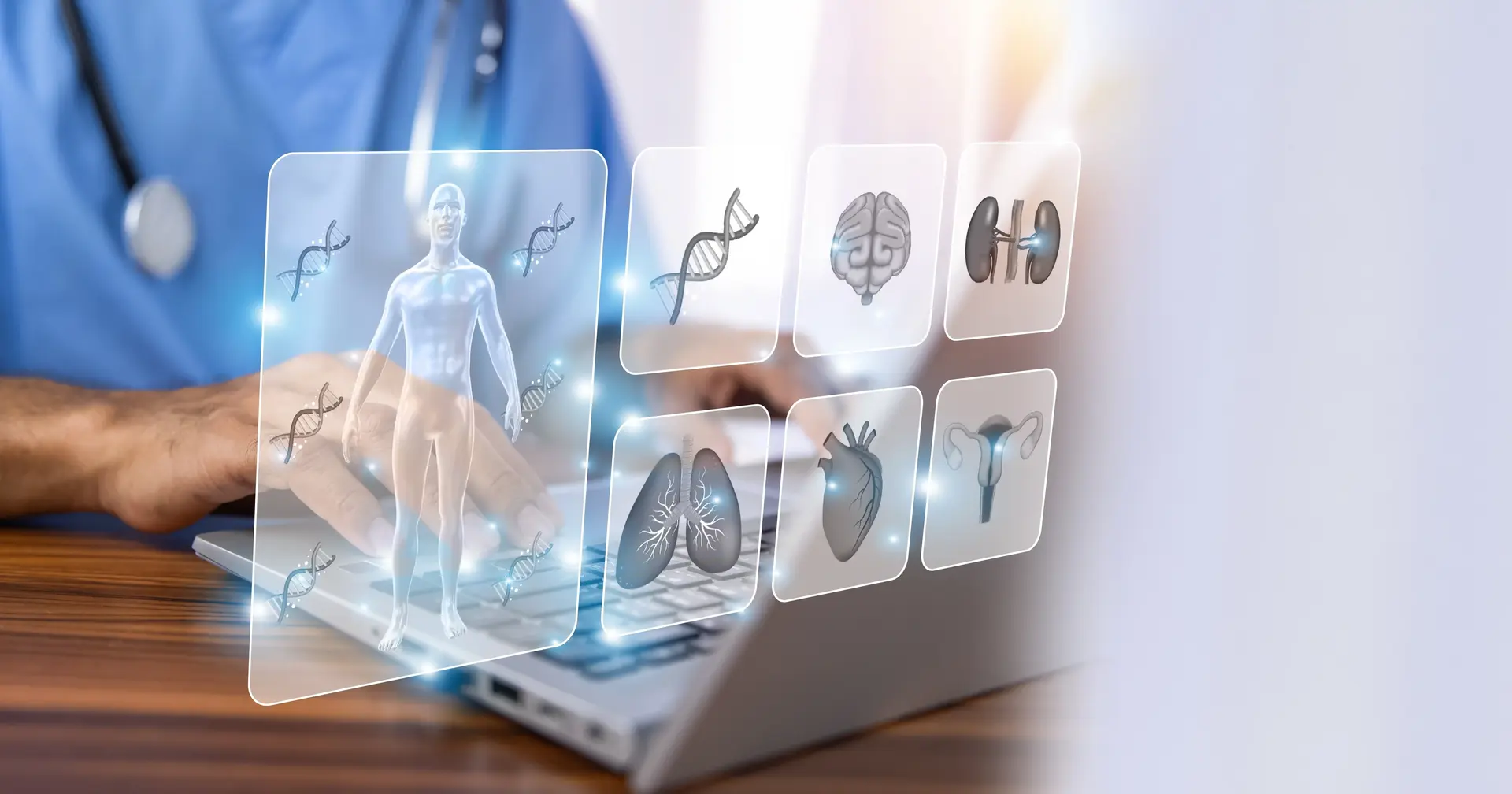 A doctor looking at all parts of the body on a computer.