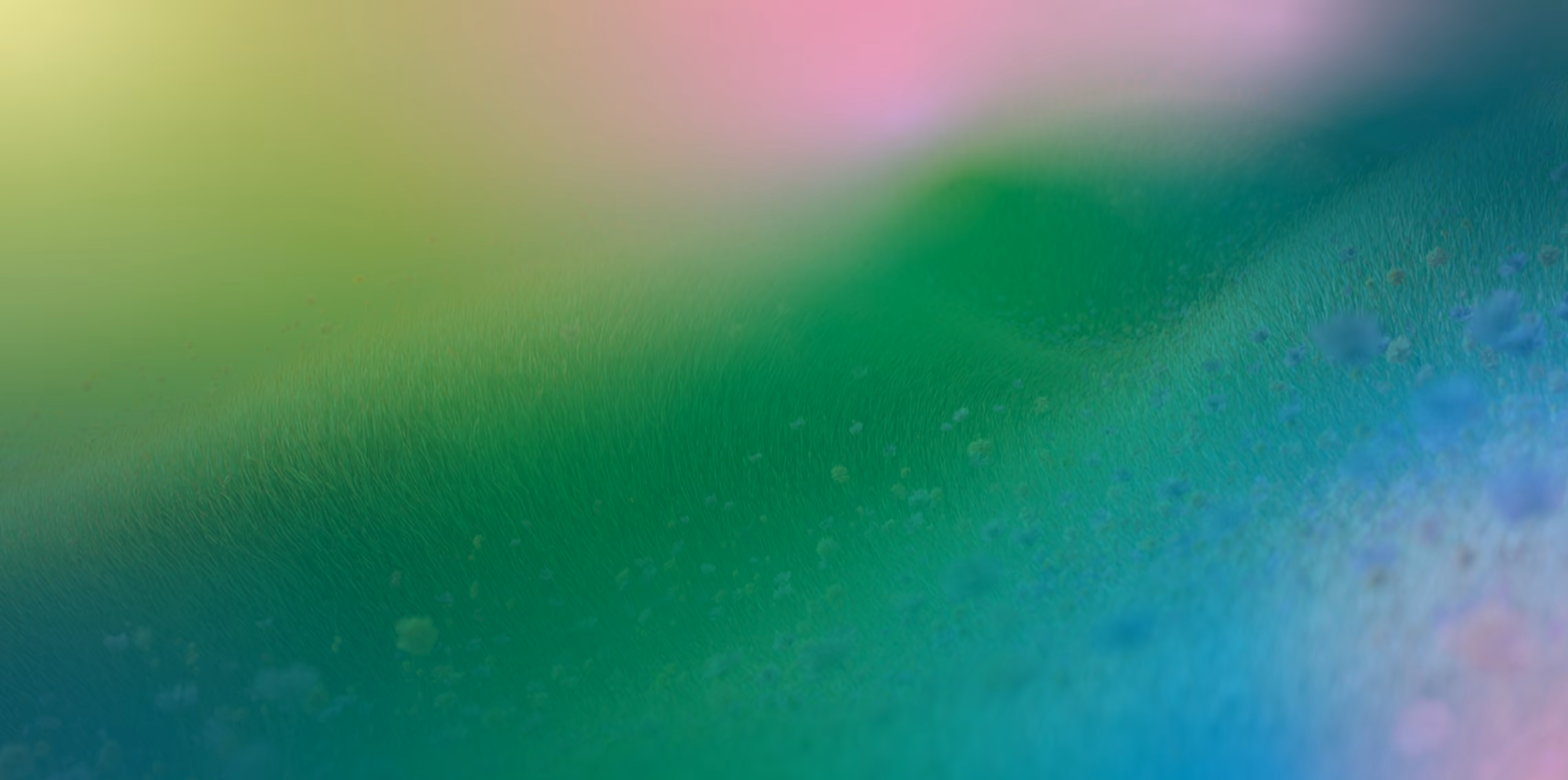 The Role of the L&D Leader in the Age of AI