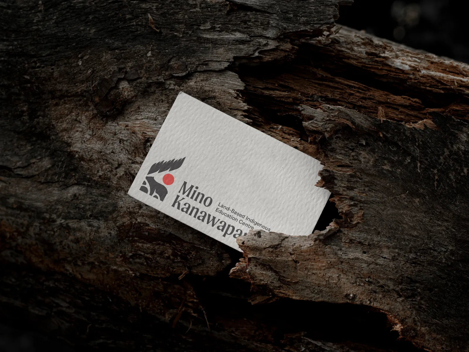 Mino Kanawapamin business card placed in textured tree bark, showcasing tactile brand identity design inspired by land and nature.