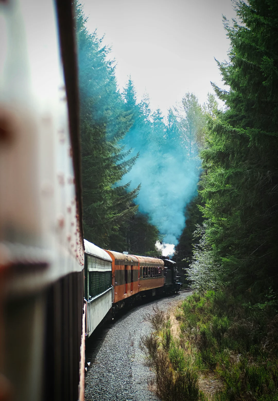 Scenic train winding through a forested landscape, evoking memorable tourism experiences and destination storytelling.