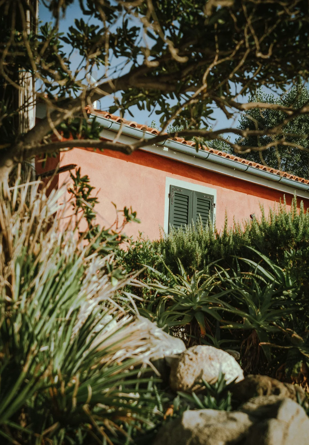 Warm-toned guesthouse partially hidden by greenery, reflecting the intimate setting and sense of place found in boutique hospitality.