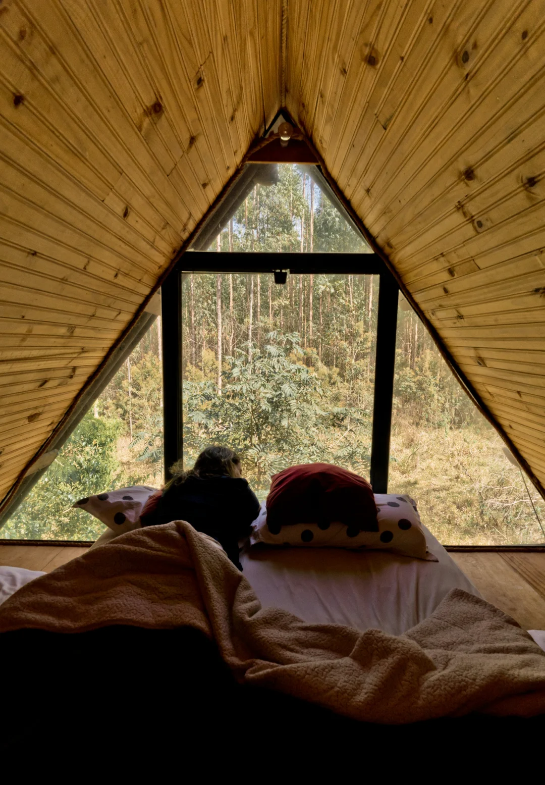 Guest resting in an A-frame cabin bed facing a large window to the forest, capturing the feeling and language behind a nature-based hospitality brand.