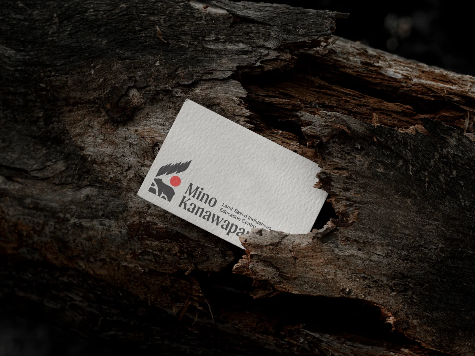 Mino Kanawapamin business card placed in textured tree bark, showcasing a nature-inspired brand identity for a land-based Indigenous education centre.
