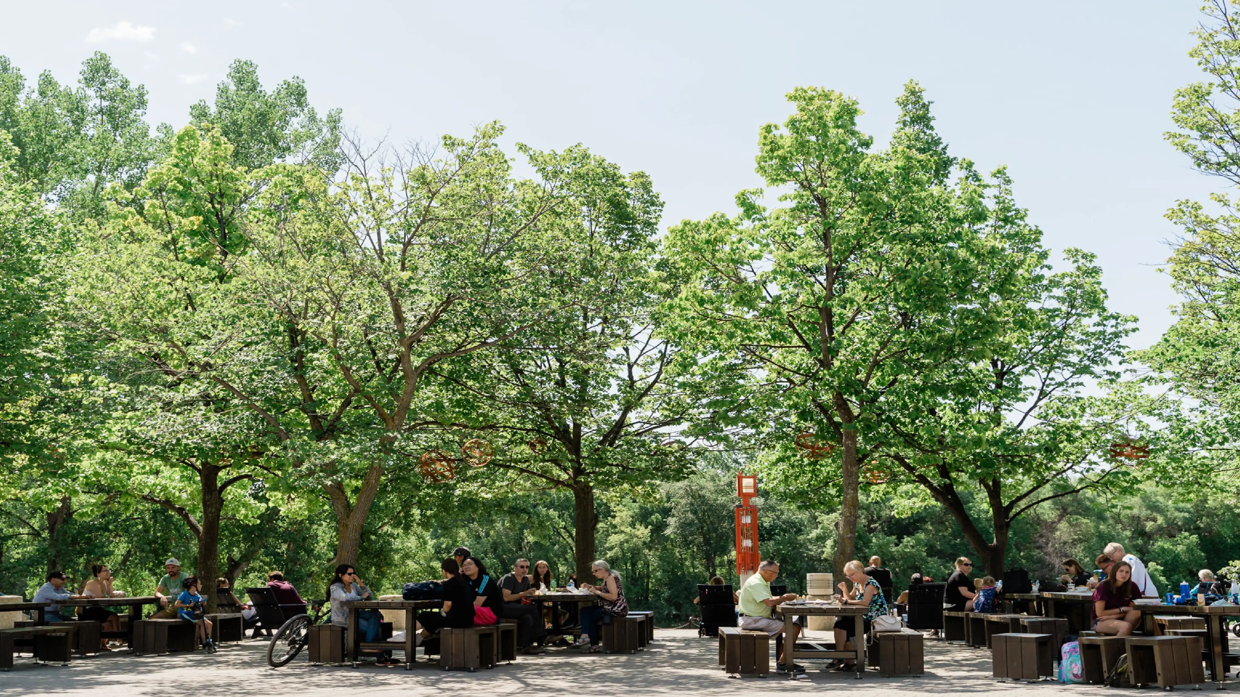Visitors dining outdoors under leafy trees at The Forks, a riverside public patio offering food, drink, and shaded gathering spaces.