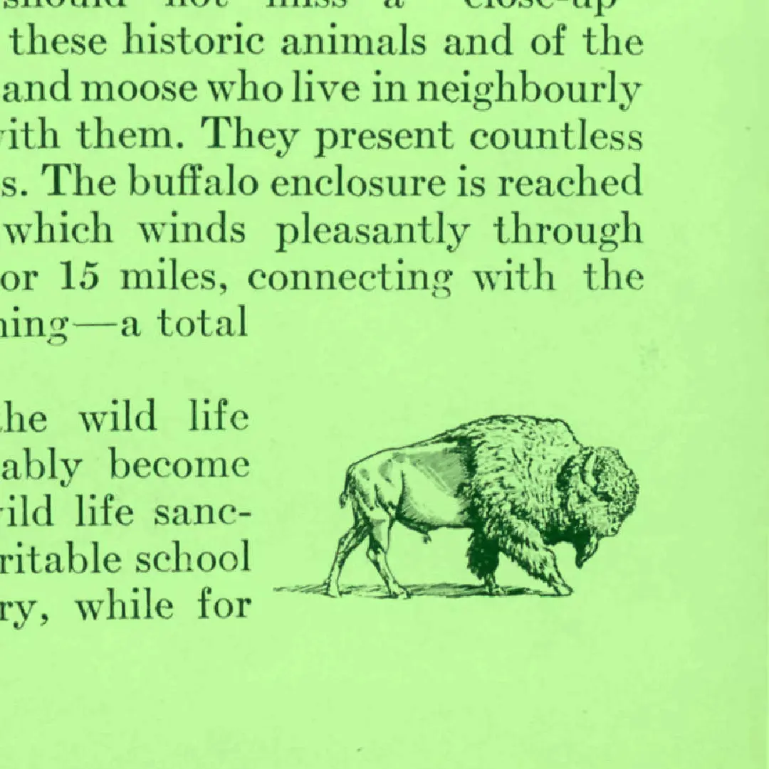 Archival brochure excerpt with a small bison illustration beside printed text.