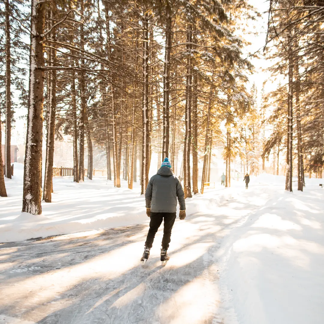 Person skating along a snowy trail through tall trees with warm winter sunlight in the distance.