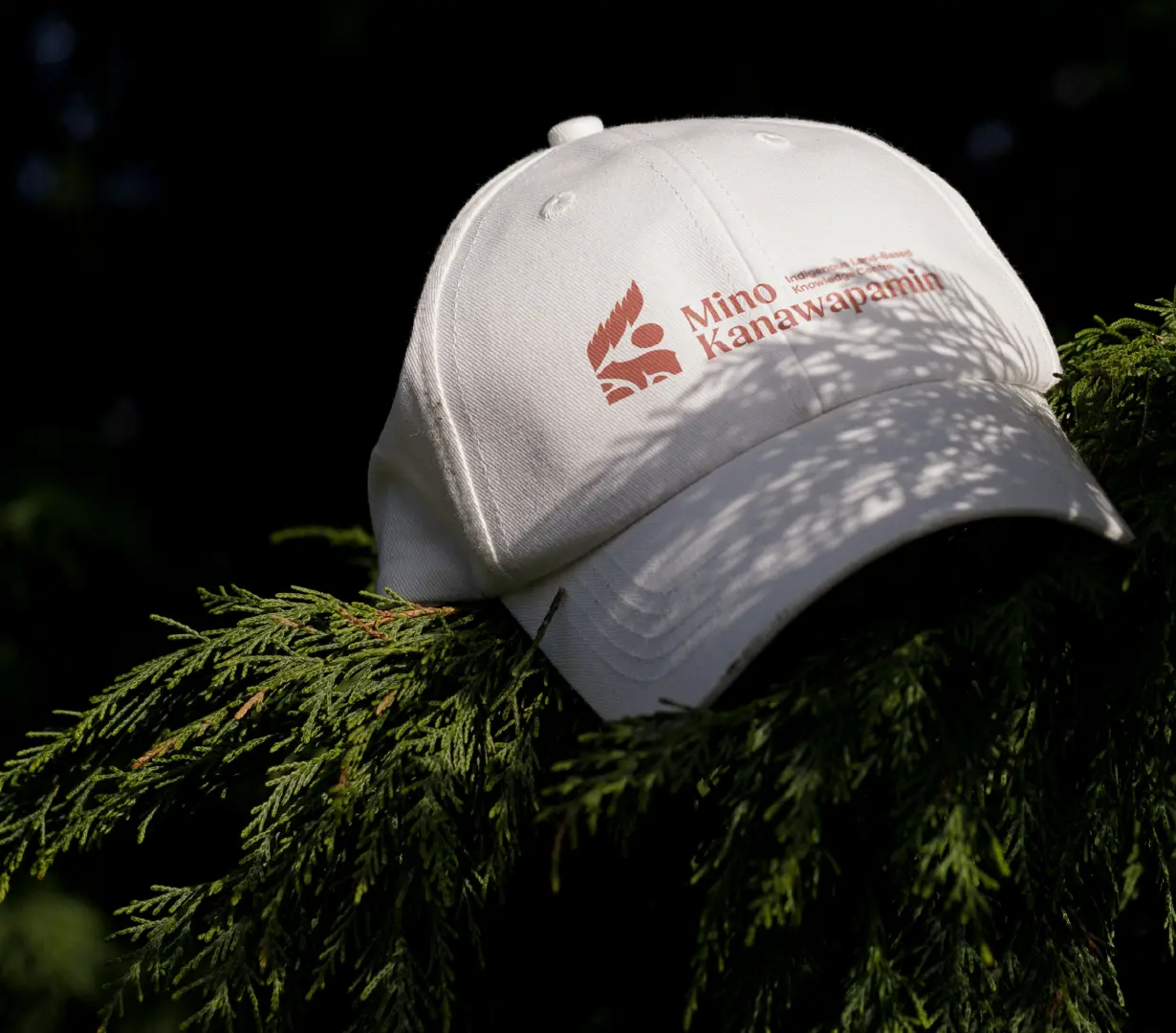 White baseball cap with the Mino Kanawapamin logo resting on evergreen branches in sunlight.