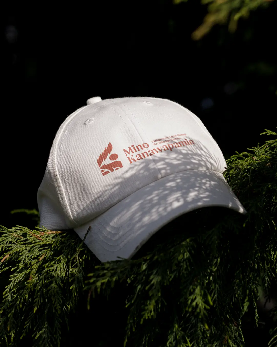Mino Kanawapamin logo on a white hat set on evergreen branches against a dark background.
