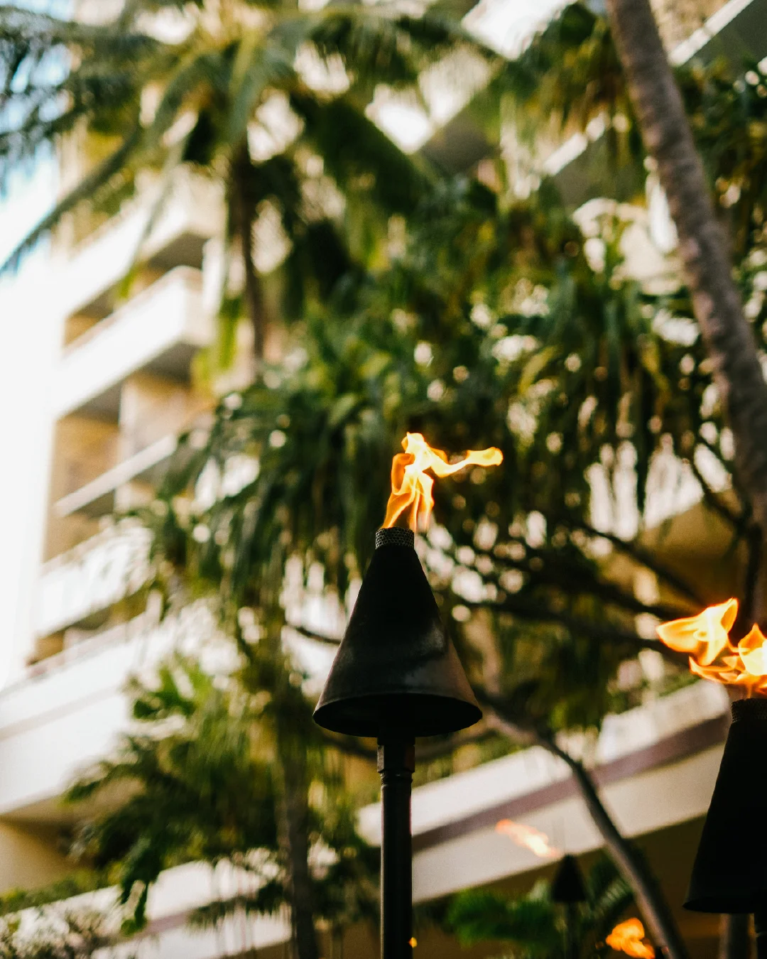 Tiki torches glowing at dusk with palm trees and hotel buildings in the background.