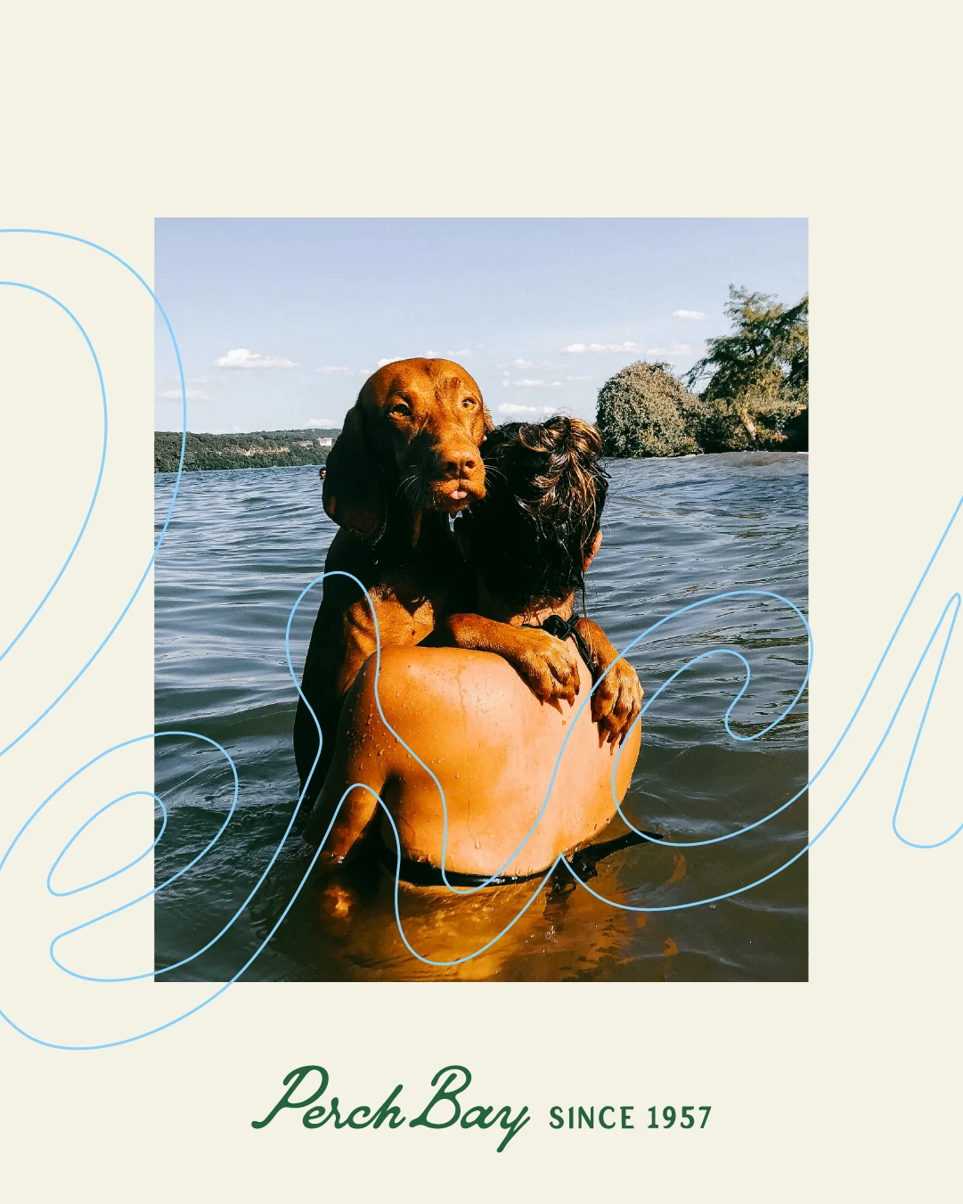 A wet dog perched on a swimmer’s shoulders in the lake, framed with blue brand graphics and the Perch Bay Since 1957 logo.