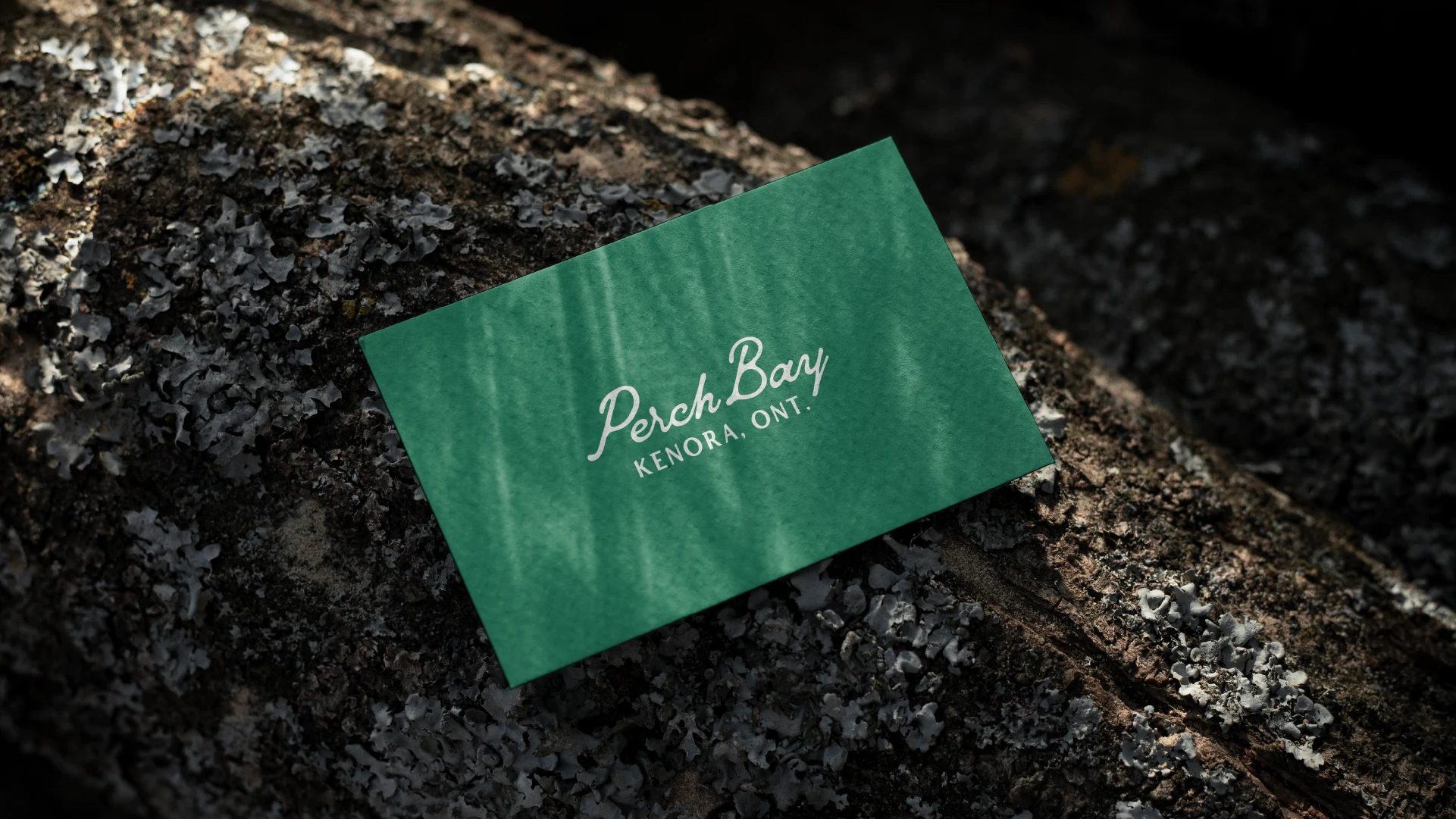 Green Perch Bay Kenora, Ontario business card displayed on a lichen-covered rock, showcasing the resort’s visual identity.