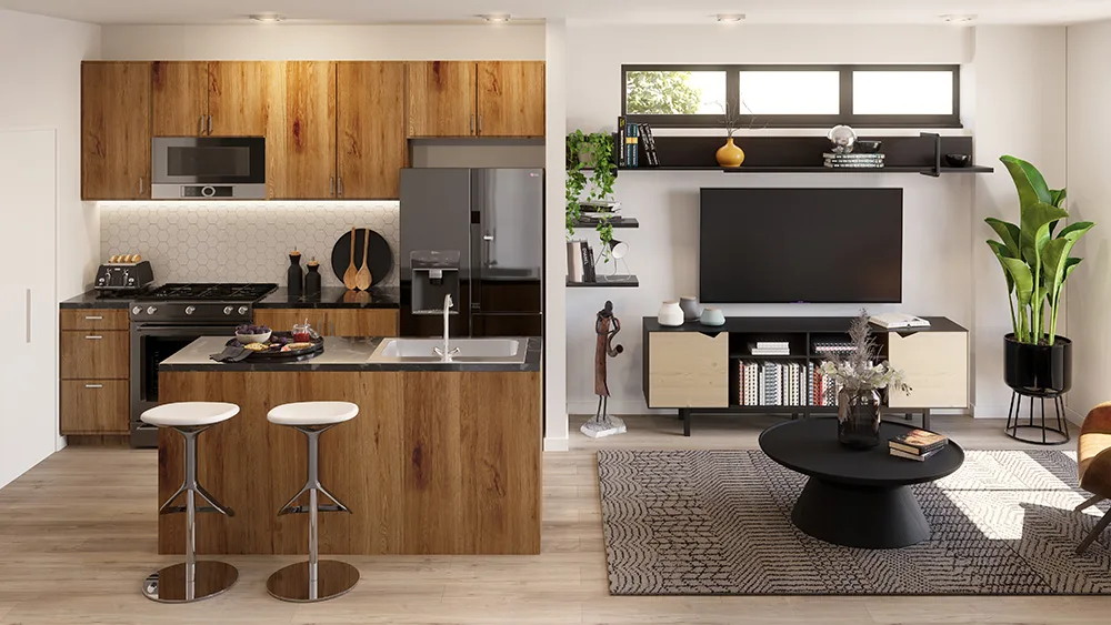 Salon + Kitchen