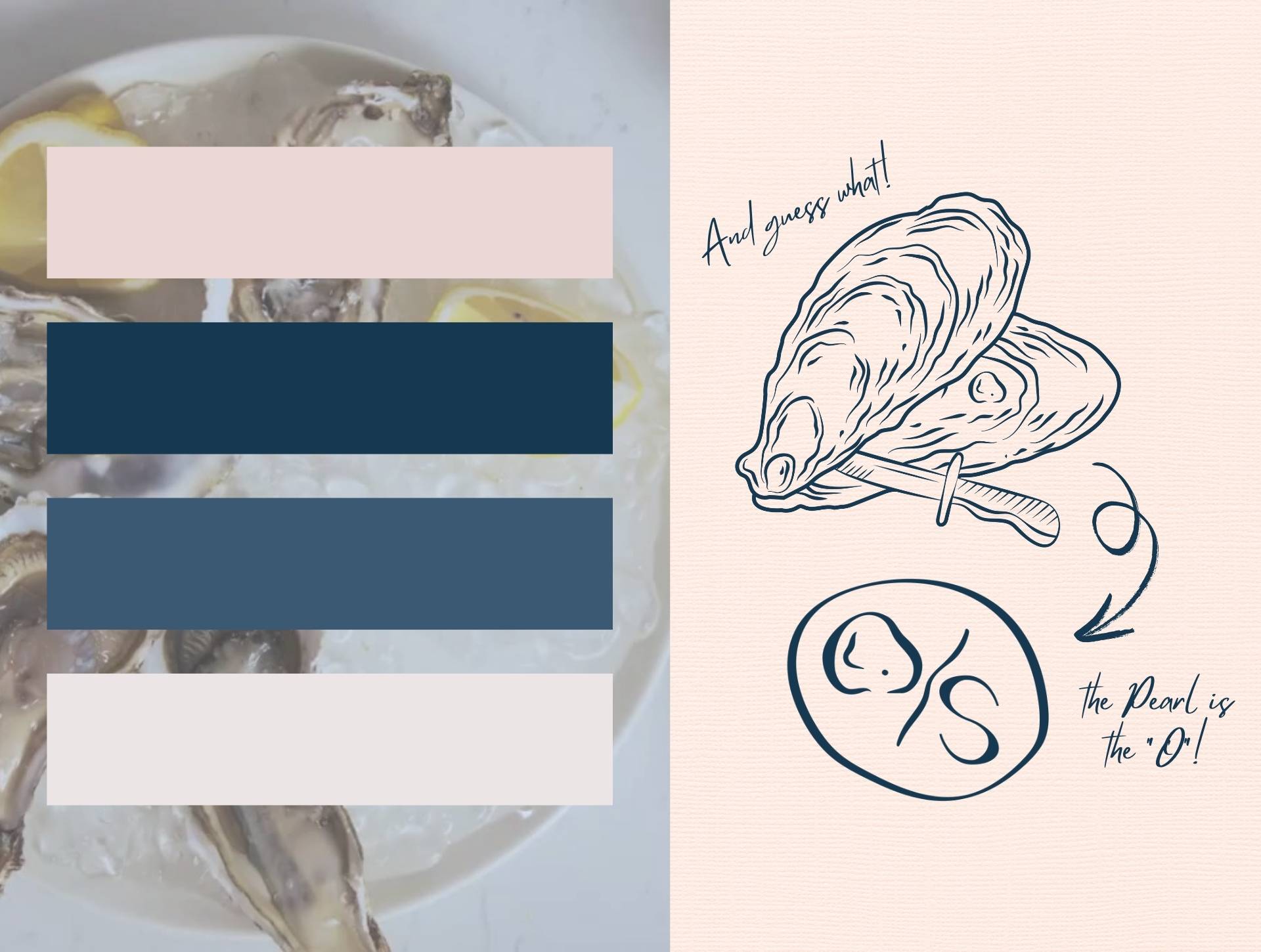 Oyster Shucking Empowerment Coaching Color Palette and Design Sketches