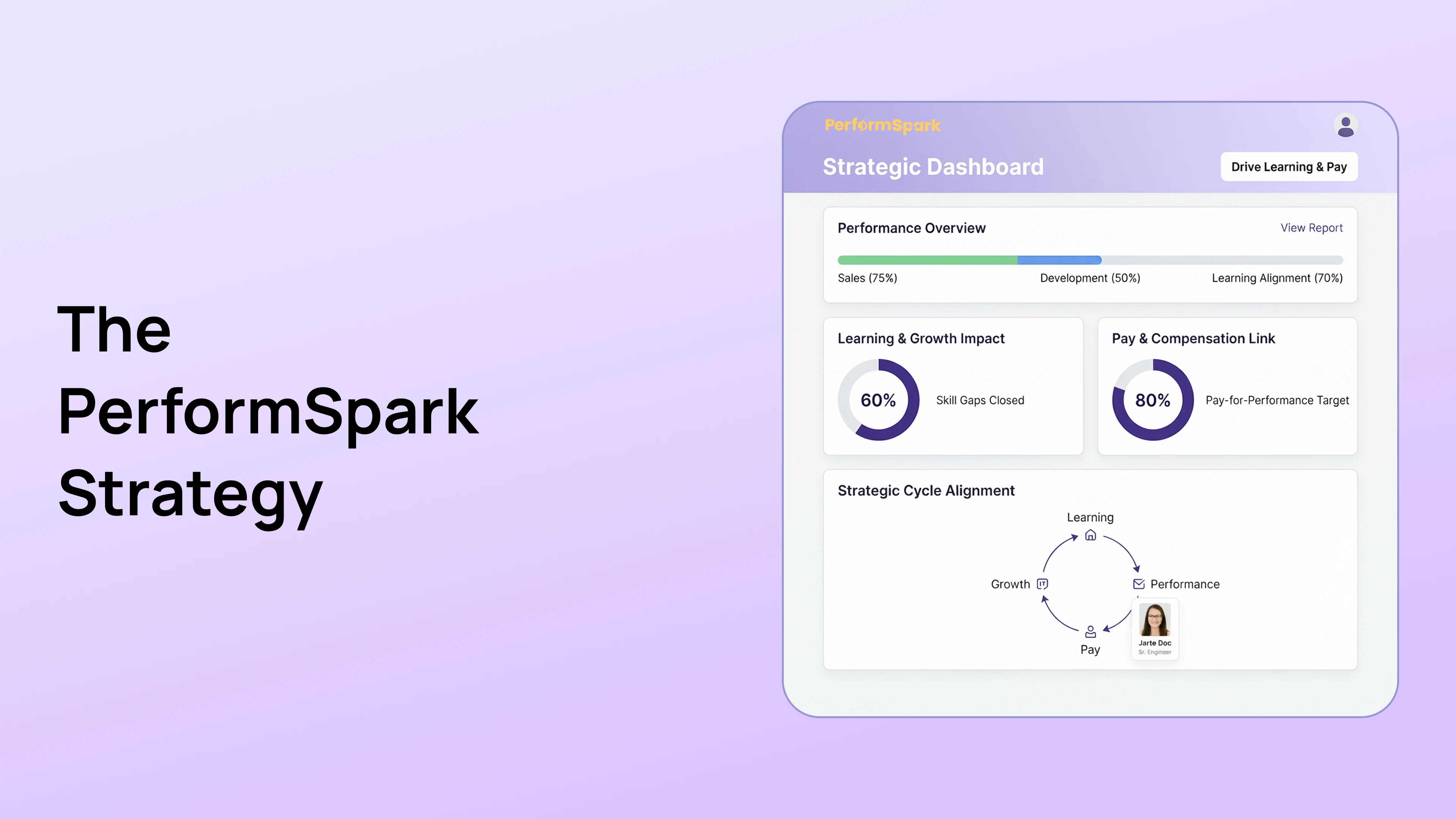 performance data strategy